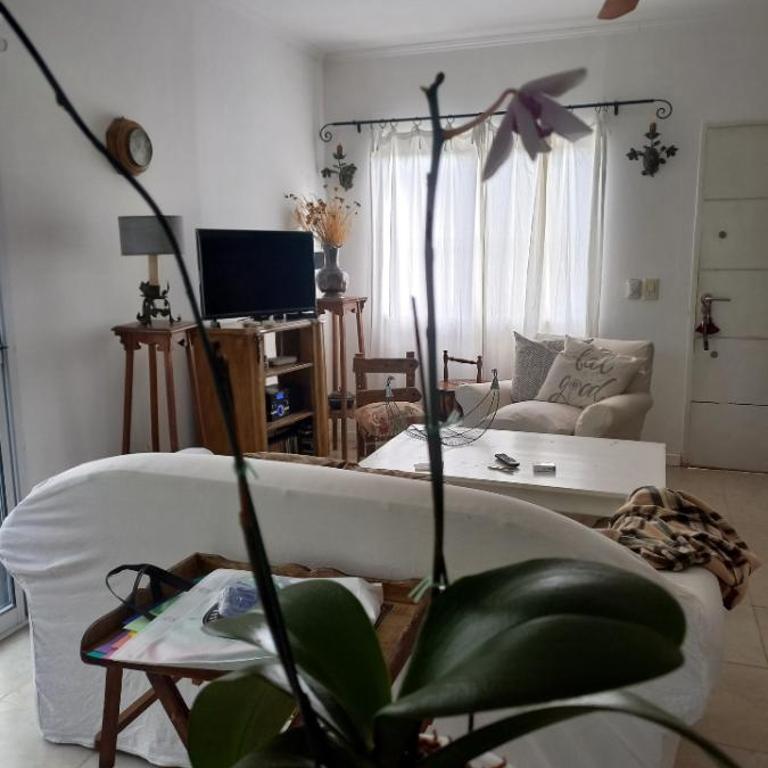 Menta - Apartamento de 1 dormitorio - 2