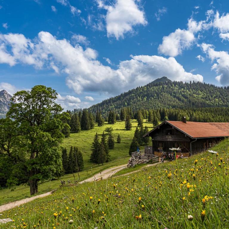 FeWo Armonie im Allgäu - Tischfußball & Dart, großer Südbalkon, gratis Erlebnisse mit Königscard - Apartment - 55