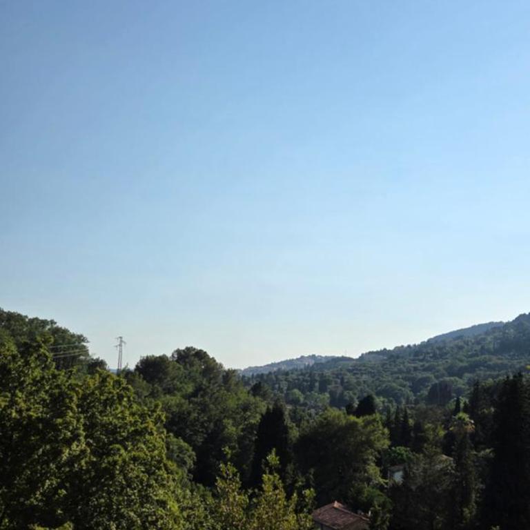 Romantic Villa with pool in Grasse - Villa - 49