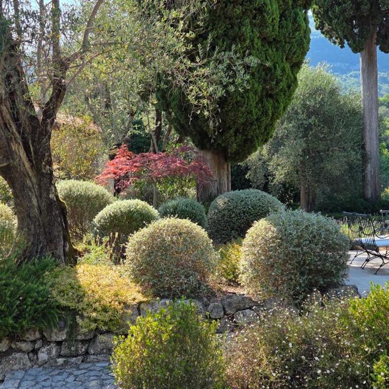 Romantic Villa with pool in Grasse - Villa - 40