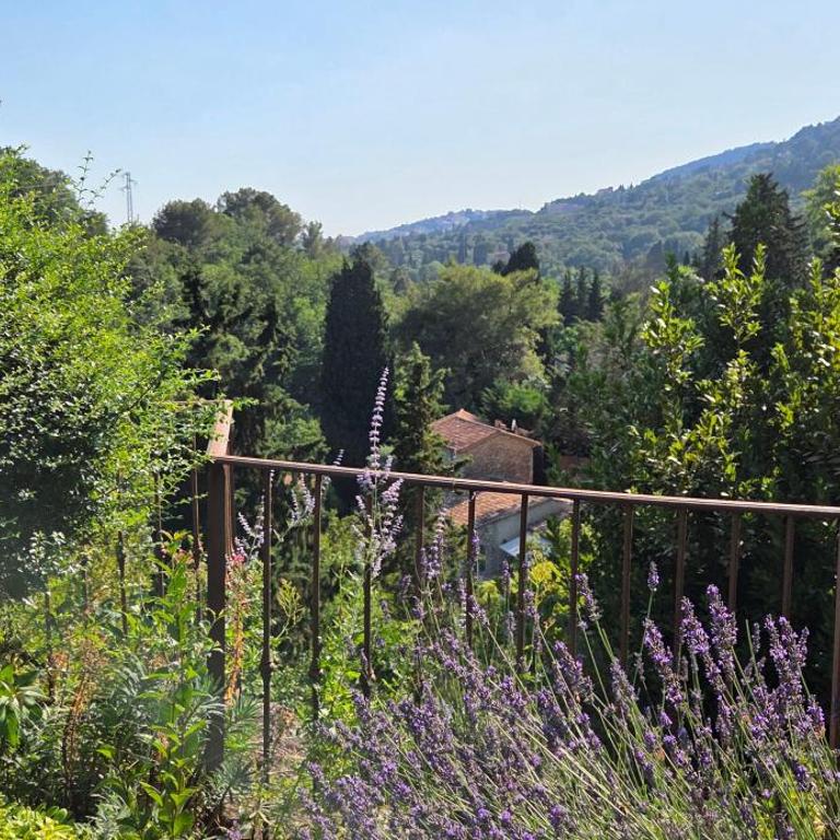 Romantic Villa with pool in Grasse - Villa - 50