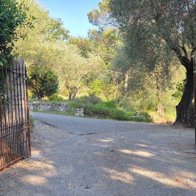Romantic Villa with pool in Grasse - Villa - 66