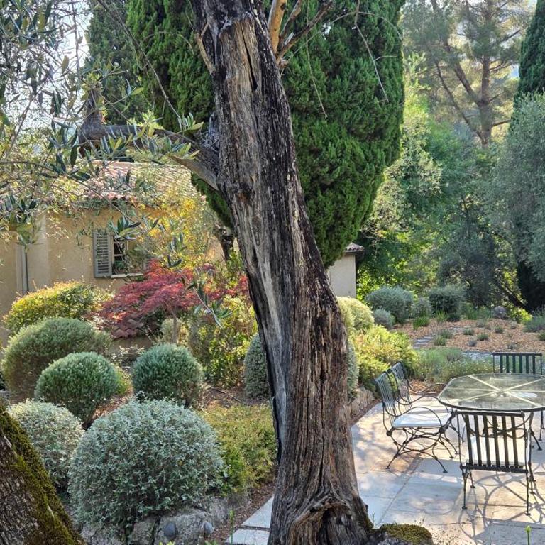 Romantic Villa with pool in Grasse - Villa - 64