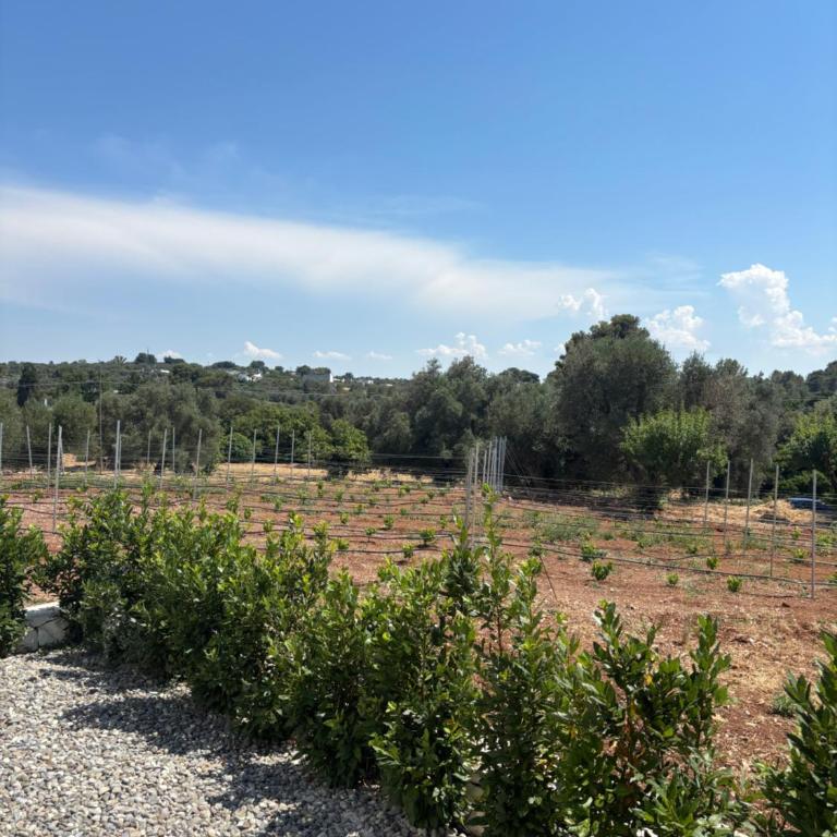 Trullo botanico - Ferienhaus - 35