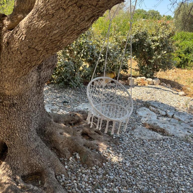 Trullo botanico - Ferienhaus - 55