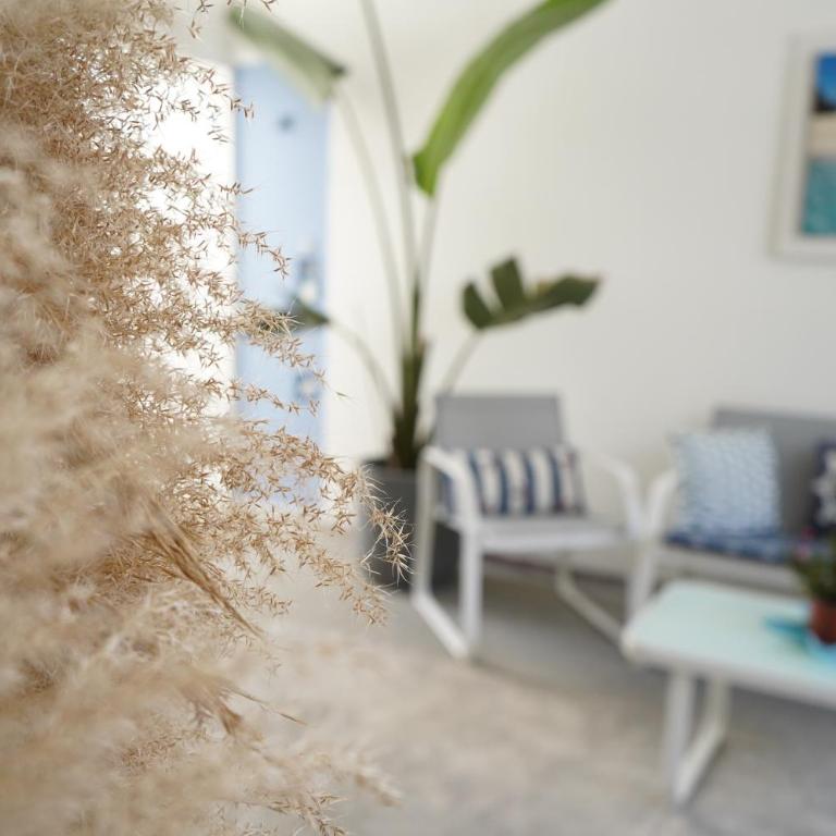 Porto Cesareo Family House 2 - Standard Family Room - 18
