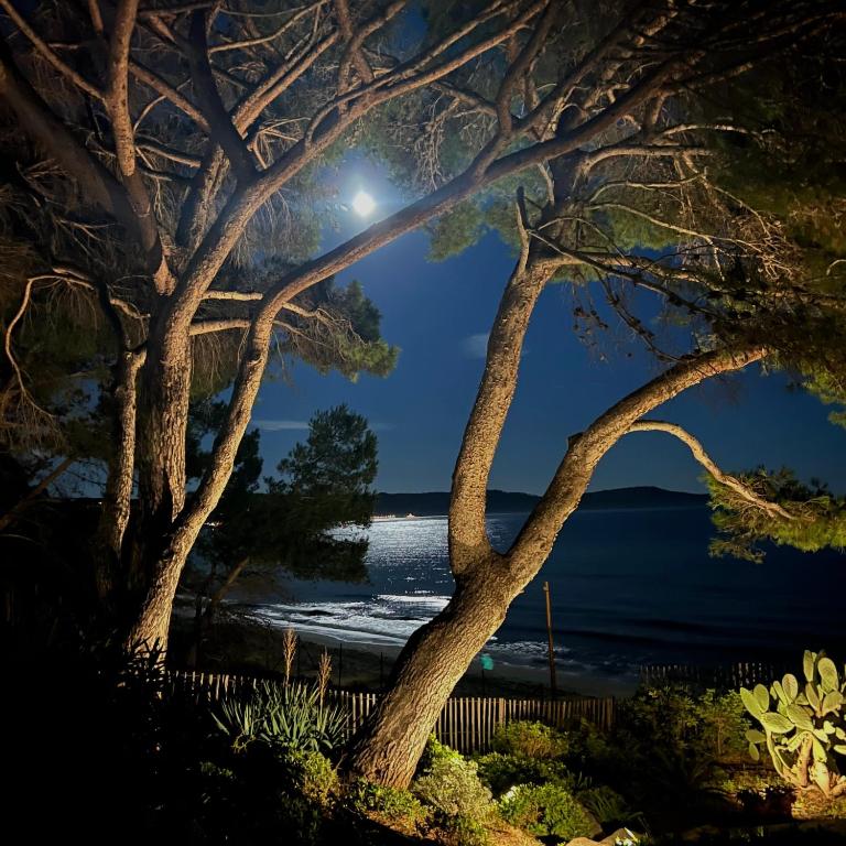 Le Petit Bonheur - pieds dans l'eau - Golfe de Saint-Tropez - Côte d'Azur, beach house fully renovated in 2026 - Casa de 2 dormitorios - 39