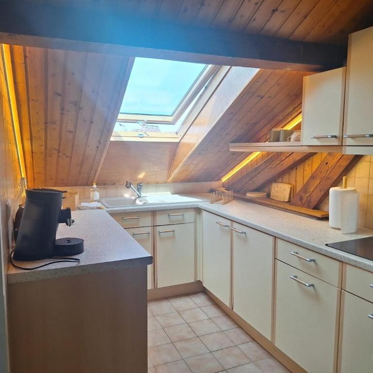 Thonon Town Centre & Lake - Appartement 1 Chambre - 4