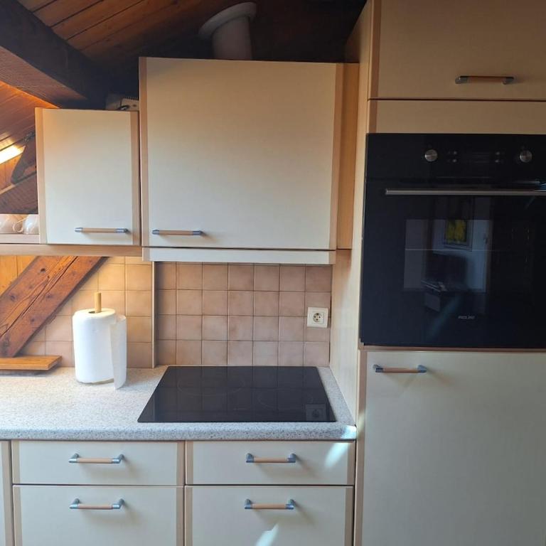 Thonon Town Centre & Lake - Appartement 1 Chambre - 7