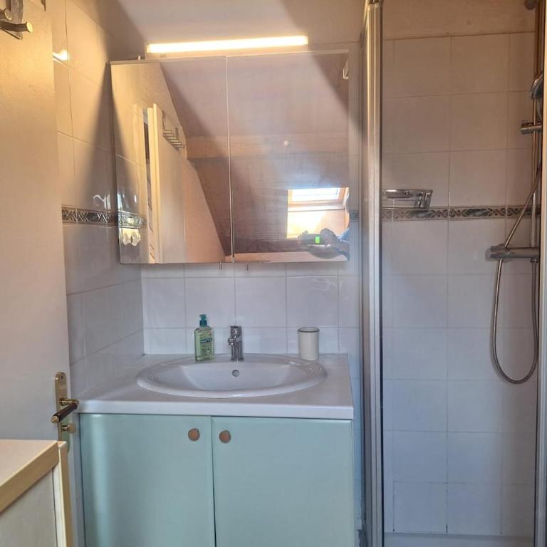 Thonon Town Centre & Lake - Appartement 1 Chambre - 15