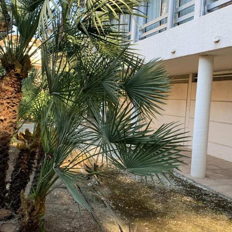Appartement rénové avec parking - 4 pers. - FR-1-335-210 - Apartamento - 1