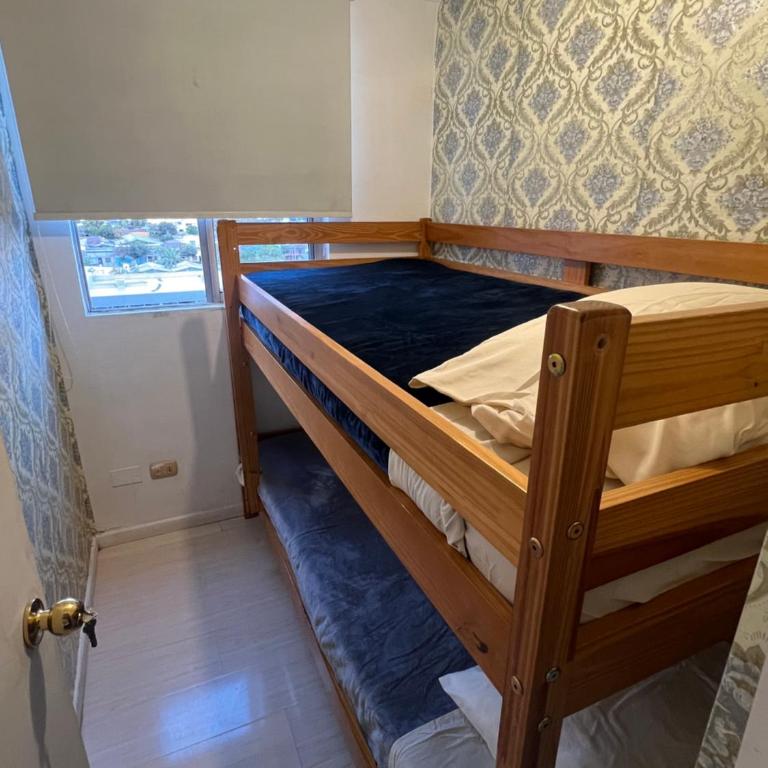 Departamento 2 dormitorios Parque Ohiggins, Movistar Arenas, Estadio nacional 908 - Two-Bedroom Apartment - 8