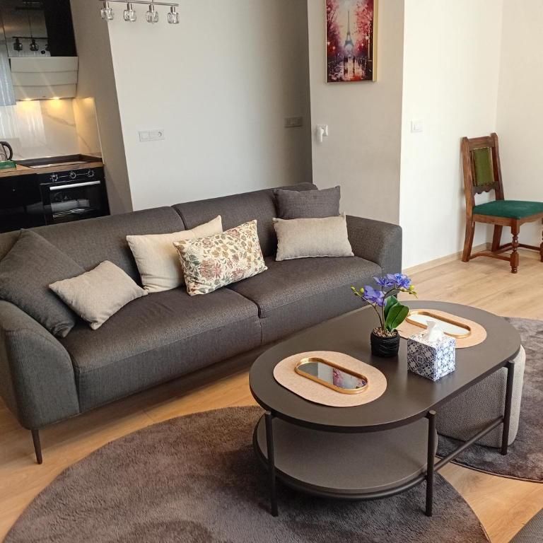 Obsidian Residence Sarajevo-Modern Apartment near Airport with free parking - One-Bedroom Apartment - 20
