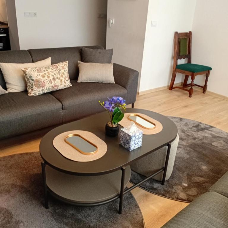 Obsidian Residence Sarajevo-Modern Apartment near Airport with free parking - One-Bedroom Apartment - 19