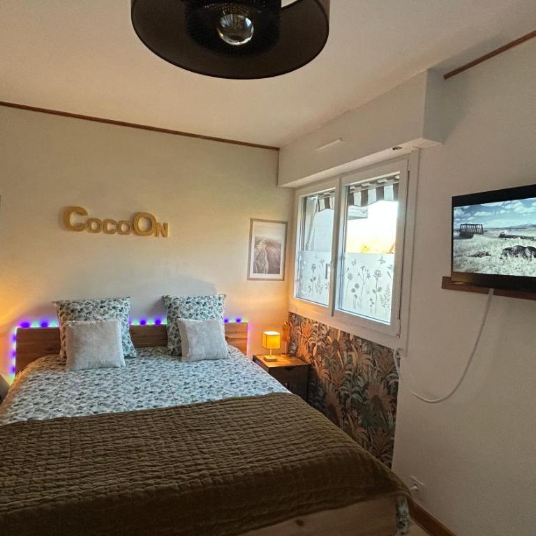 Vue montagnes, à 5 mn du lac et de la piste cyclable,lit King size, Park gratuit - Appartement 1 Chambre - 2