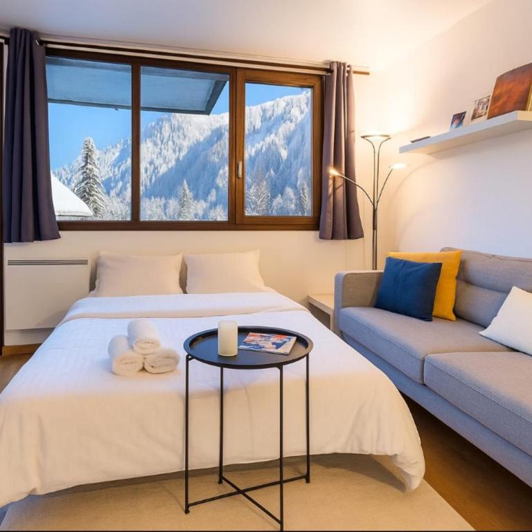 Escape in Chamonix breathtaking view Mont-Blanc - Appartement - 11