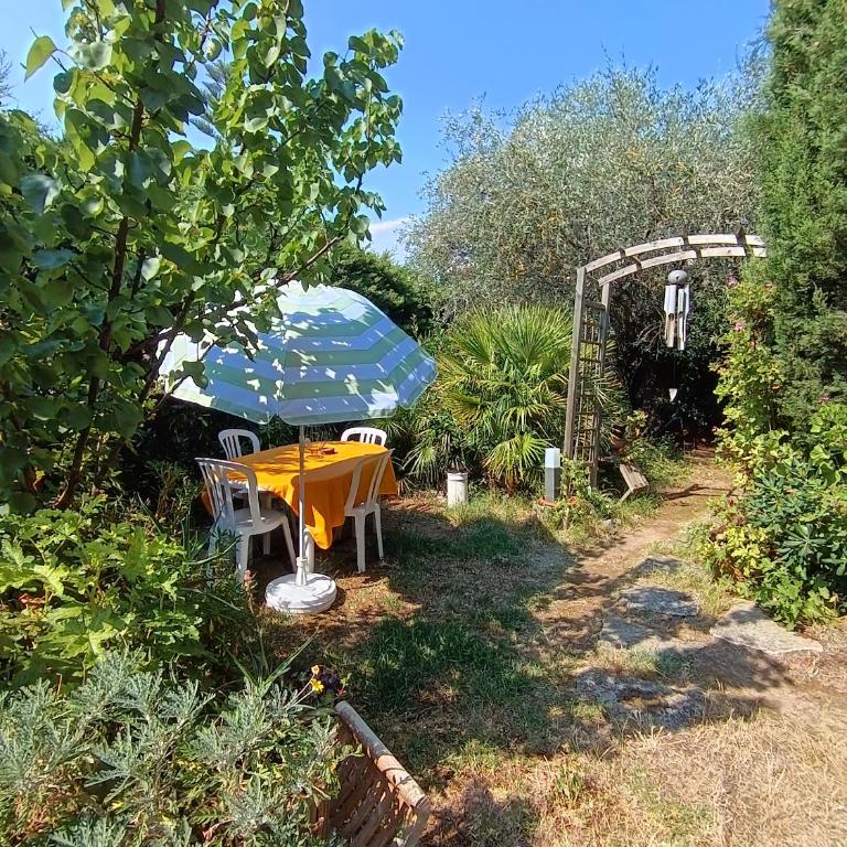Havre de verdure Antibes Val Claret - Appartement 1 Chambre avec Jardin - 3