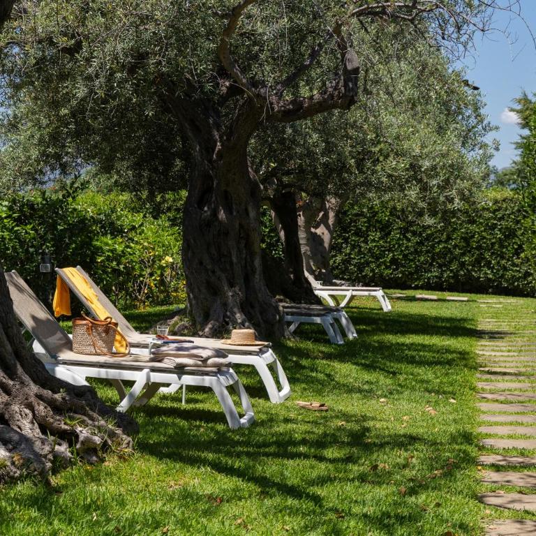 Villa Collina - Monolocale con Terrazza - Piano Terra - 1