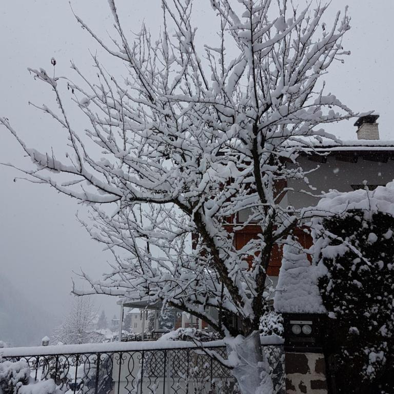 Apartment Albert - Appartamento con Vista Montagna - 25