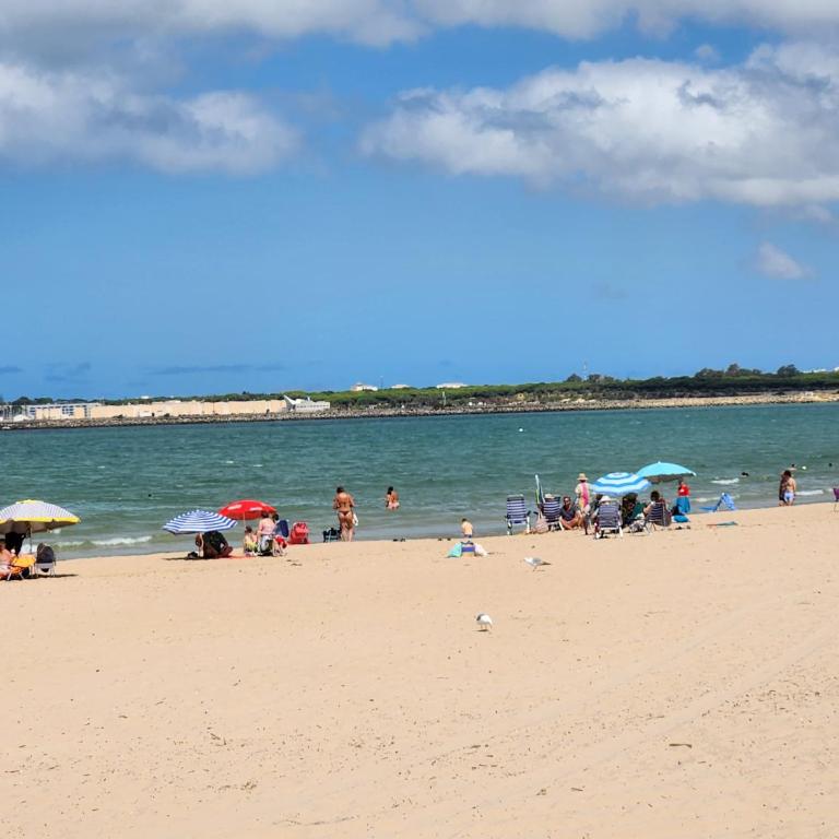 Valdelagrana PRIMERA LINEA DE PLAYA - Apartamento de 2 dormitorios - 31