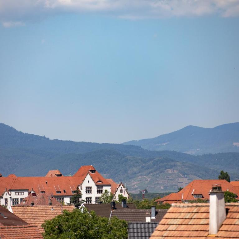 Colmar Horizon - Private Garage - Balcony - Splendid View - One-Bedroom Apartment - 27