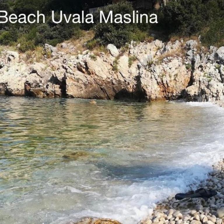Apartmani Vila Ena - Apartman sa 2 Spavaće Sobe - 21