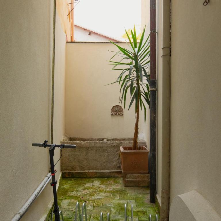 Dorotea Home Trastevere - Appartamento con 1 Camera da Letto - 23