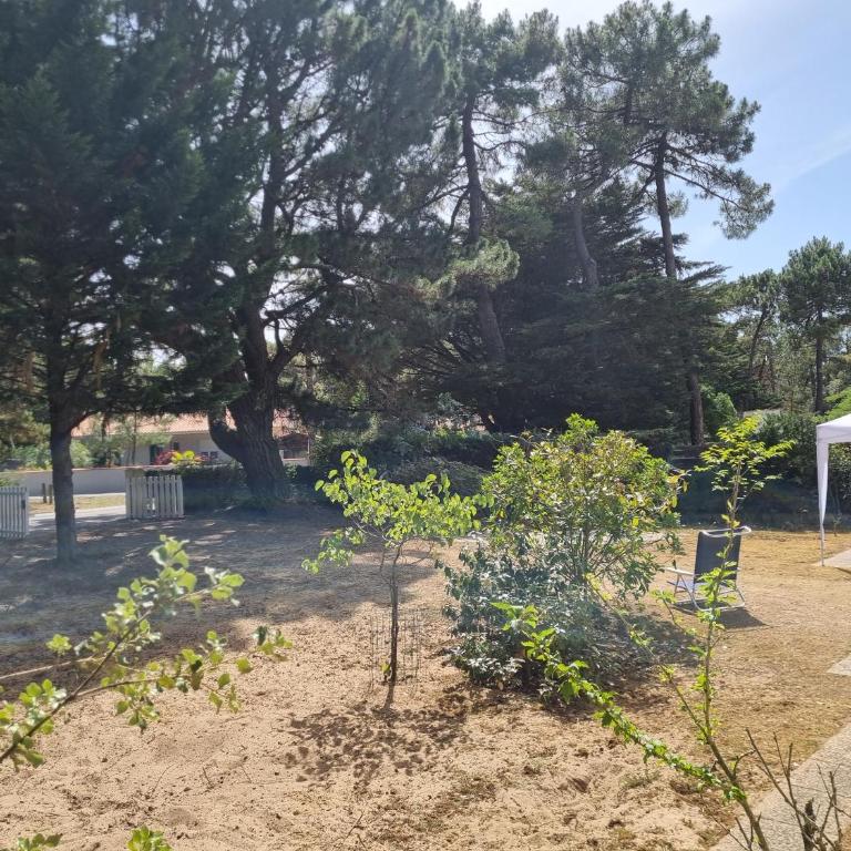 Maison entre forêt et océan - Dog Friendly - Maison 2 Chambres - 17