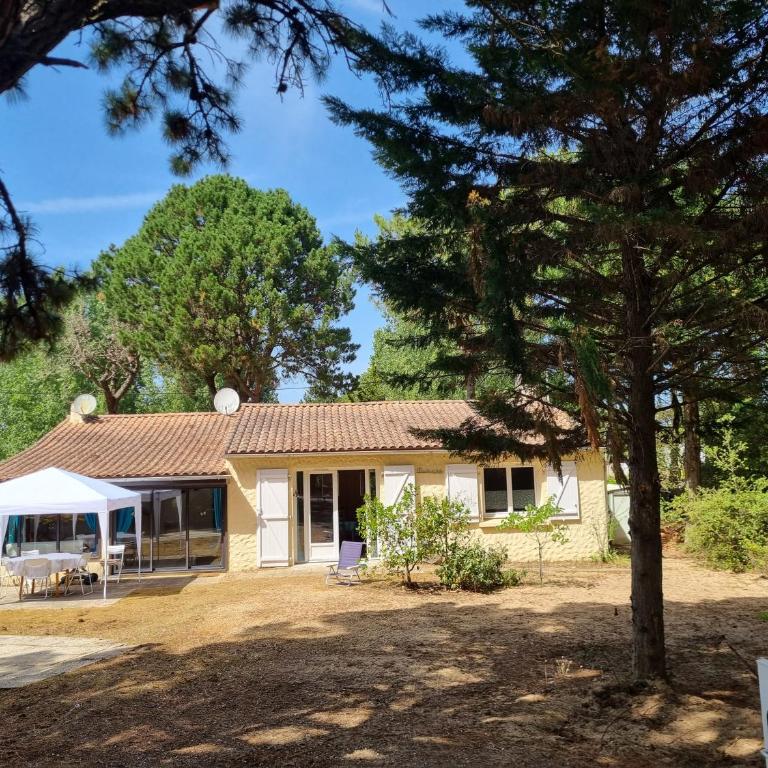 Maison entre forêt et océan - Dog Friendly - Maison 2 Chambres - 19