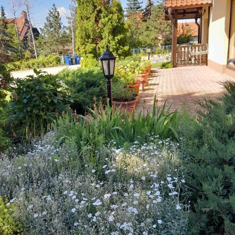 Brvnara i Apart Zlatiborski Mir - Studio mit Gartenblick - 12