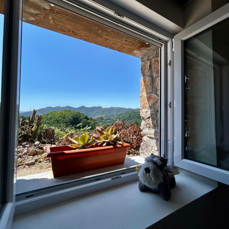 Apartamento Rural El Nisperu - Apartamento de 1 dormitorio - 6