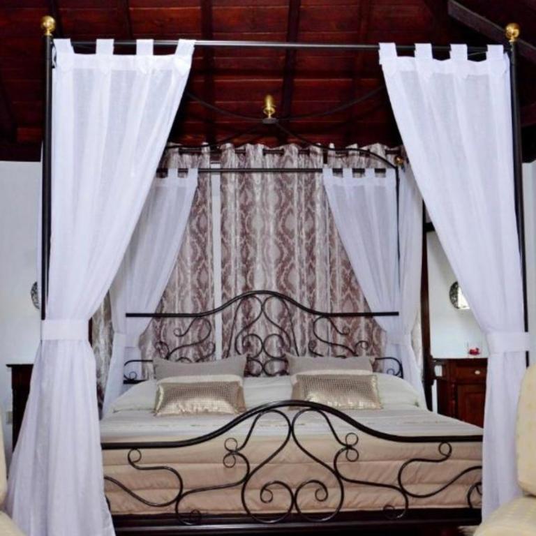Hotel Drago San Antonio - Suite Superior Deluxe - 13
