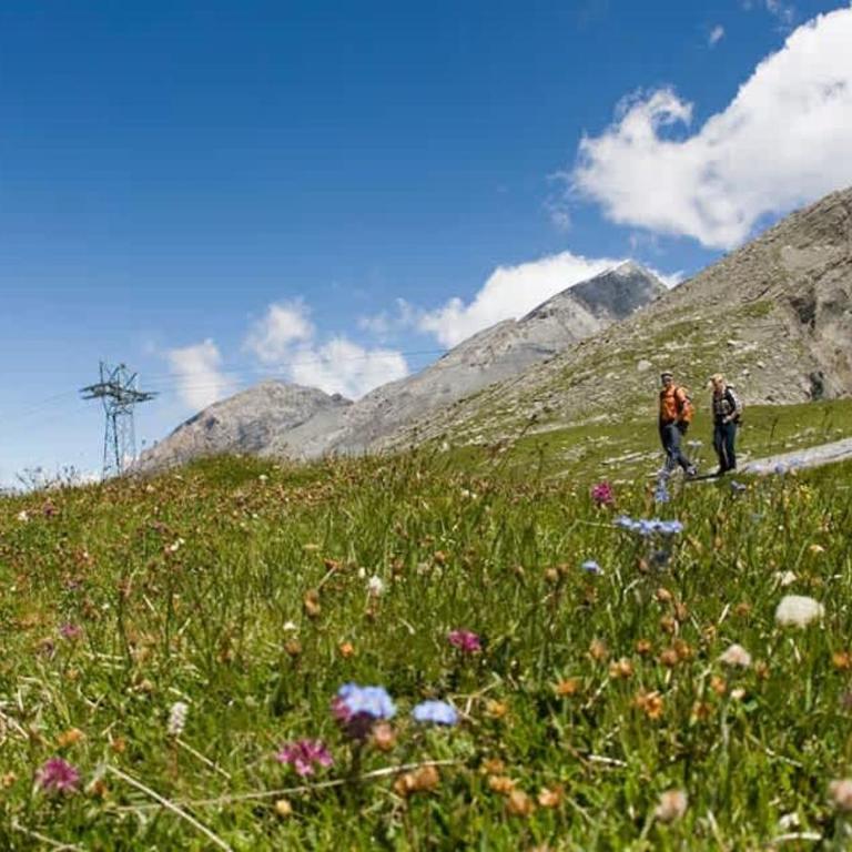 BergZeit - bei Gemmibahn - Studio - 25