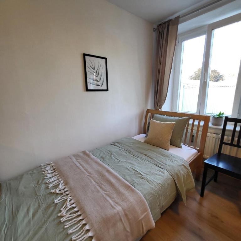 Studio - Appartamento con 1 Camera da Letto - 10