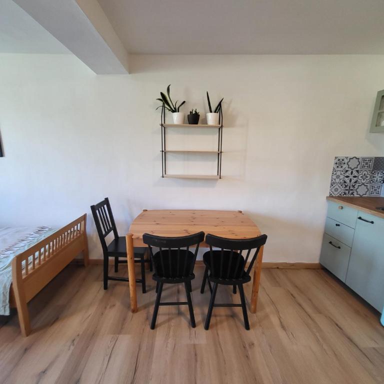 Studio - Appartamento con 1 Camera da Letto - 20