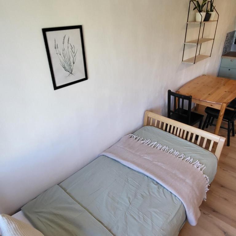 Studio - Appartamento con 1 Camera da Letto - 38