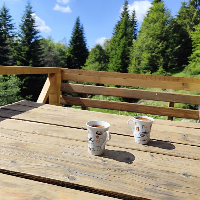 Mountain apartment-Komovi - One-Bedroom House - 31