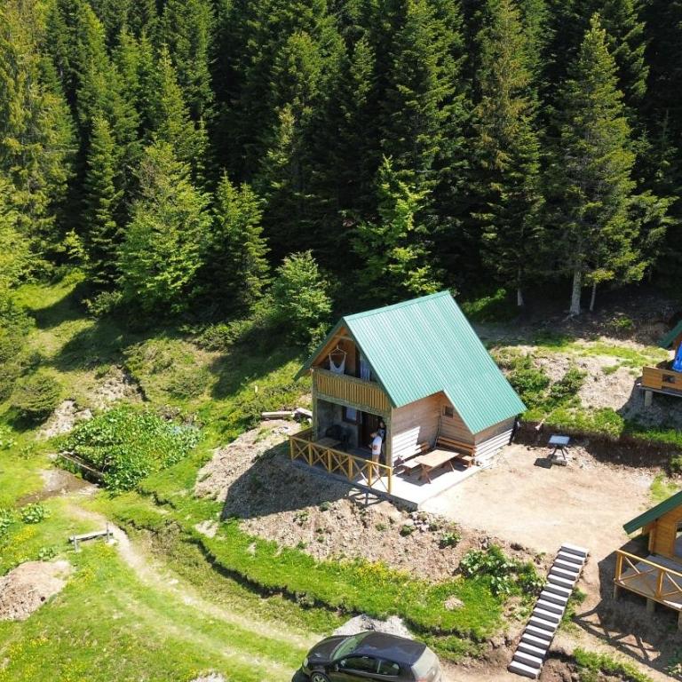 Mountain apartment-Komovi - One-Bedroom House - 32