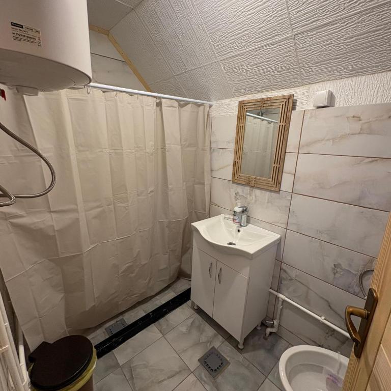 Mountain apartment-Komovi - One-Bedroom House - 21