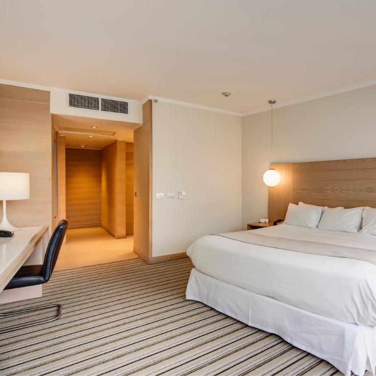 Wyndham Concepcion Pettra - Habitación Estándar - 1 cama extragrande - No fumadores - 1