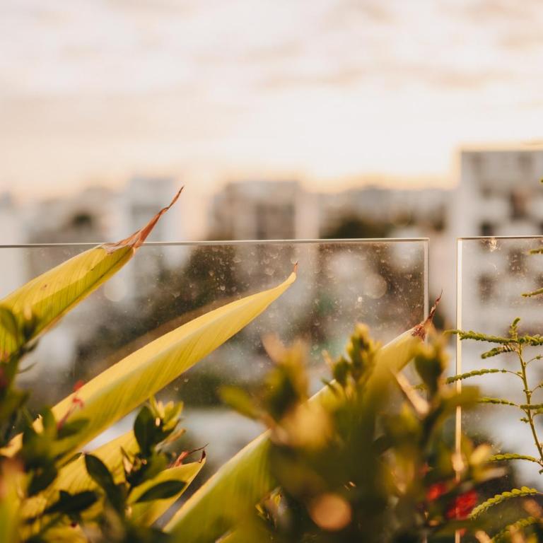 Apartments Near the Beach Playa del Carmen - One-Bedroom Apartment - 62