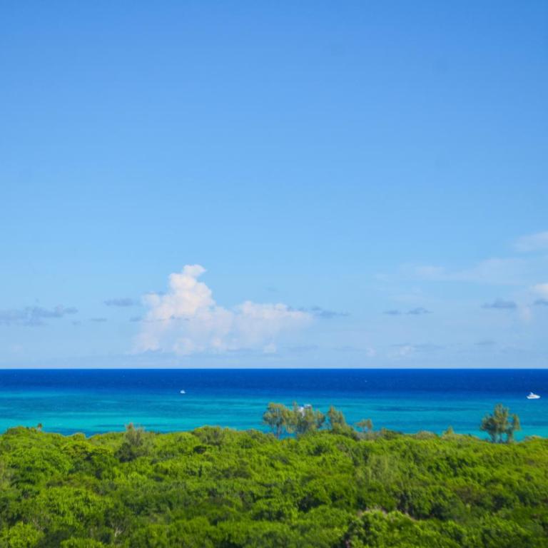 Apartments Near the Beach Playa del Carmen - One-Bedroom Apartment - 60