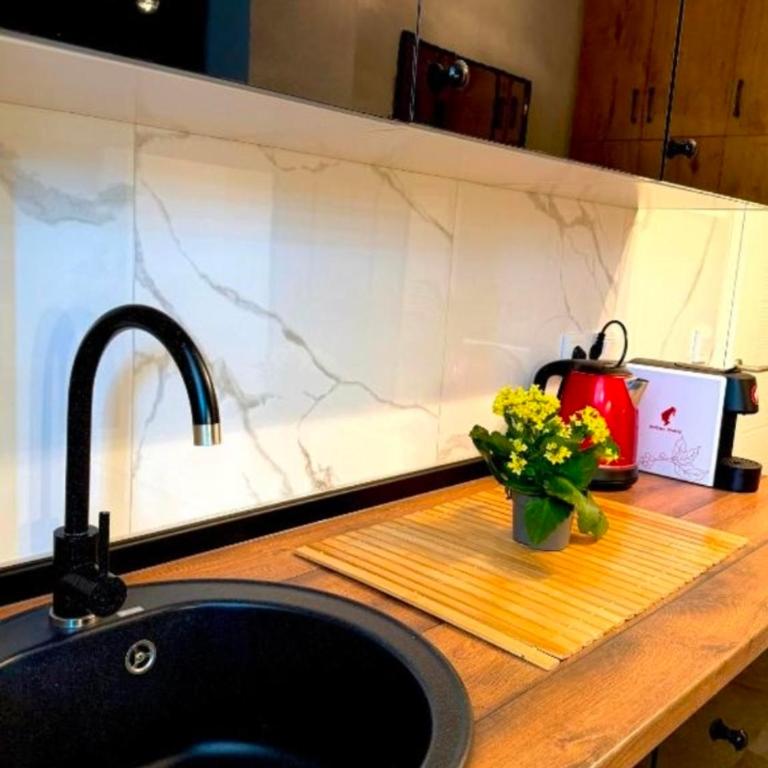 Obsidian Residence - Apartman sa 1 Spavaćom Sobom - 26