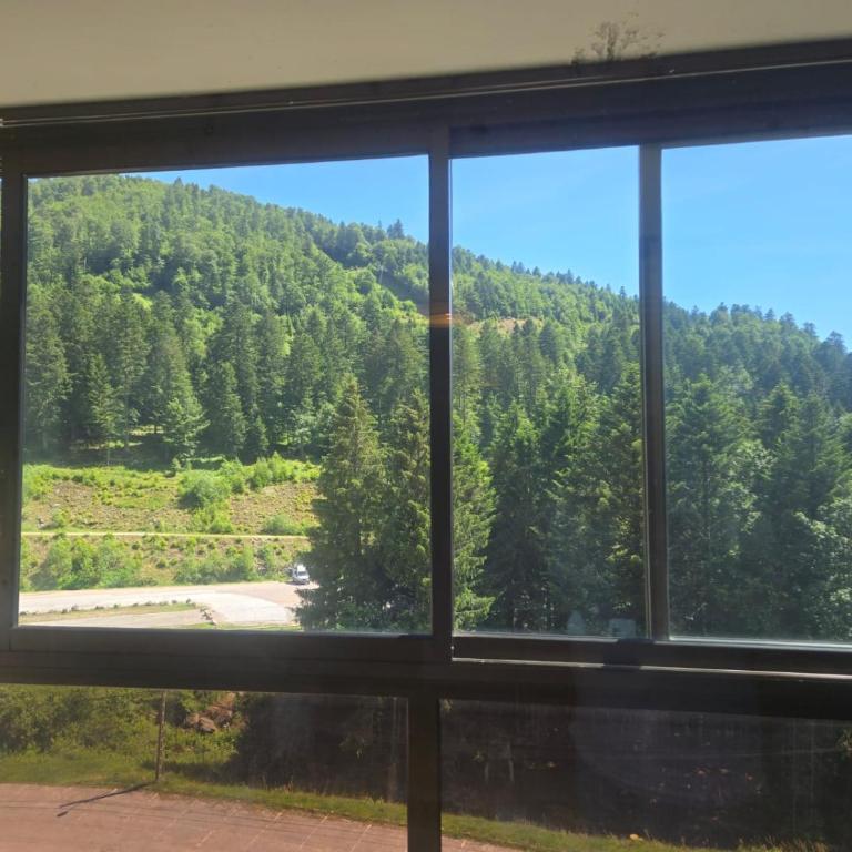 Appartement LaBelleVue - Appartement 1 Chambre - 10