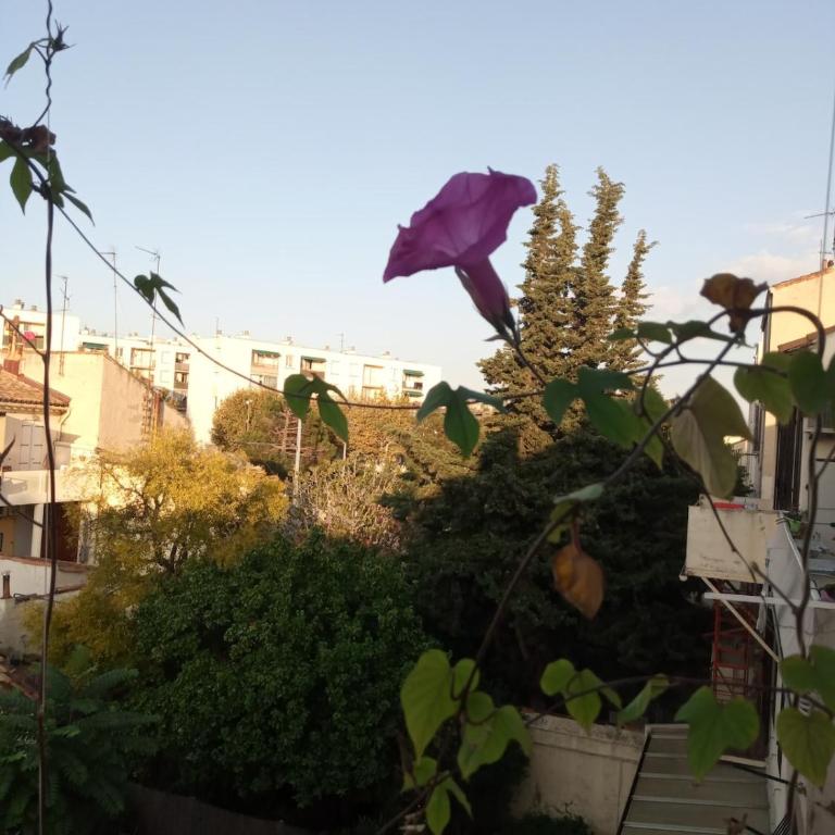 Appartement de charme marseillais - Apartment mit 2 Schlafzimmern - 7