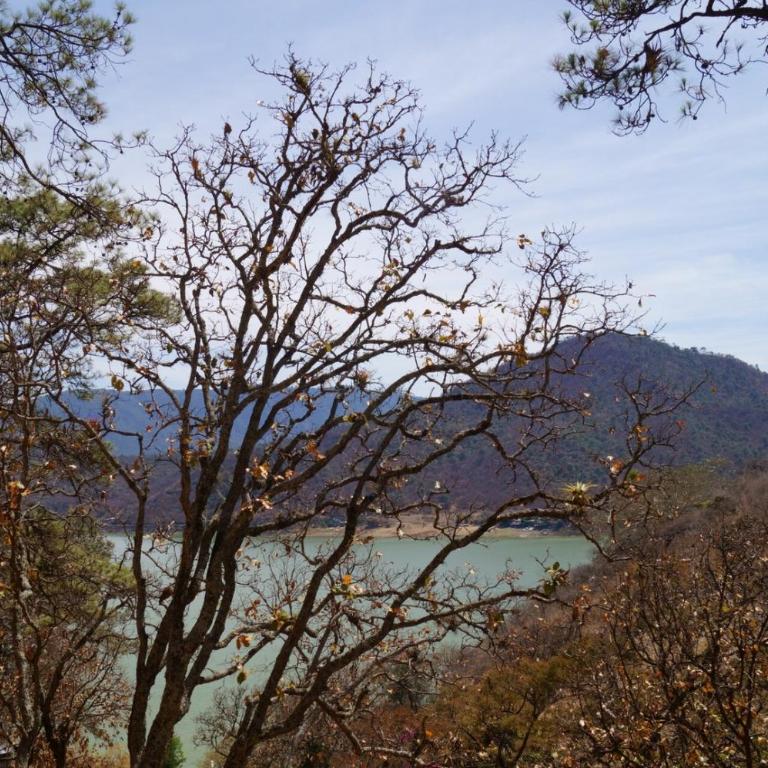 Beautiful Loft – Forest – Lake View – Jacuzzi - Apartamento de 1 dormitorio - 21