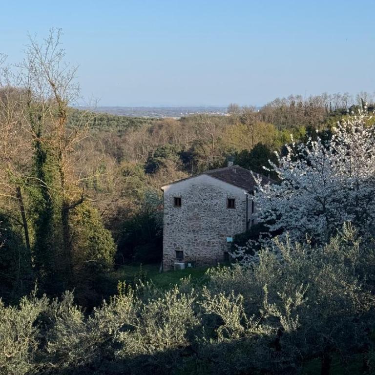 DOLCE VITA IN TUSCANY Cottage - Casa con 1 Camera da Letto - 4