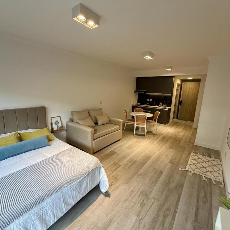 Amplio Monoambiente Palermo 701 - Apartamento - 4