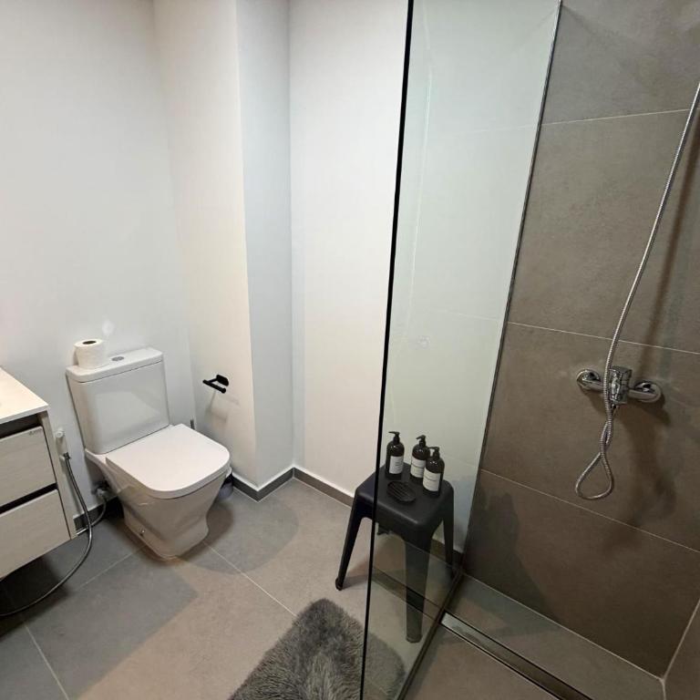 Amplio Monoambiente Palermo 701 - Apartamento - 9