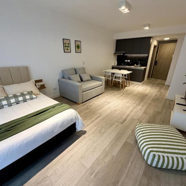 Amplio Monoambiente Palermo 801 - Apartamento - 2